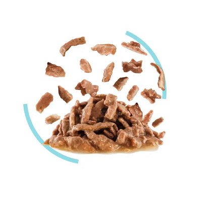 ROYAL CANIN SENSORY™ FEEL Morsels in Gravy - Drėgnas Pašaras Suaugusioms Katėms 12x85g