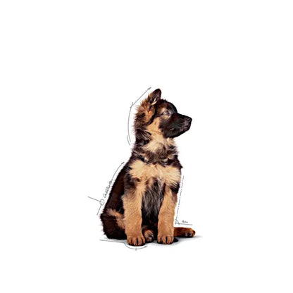 ROYAL CANIN Maxi Puppy Chunks In Gravy - Wet Food for Large Breed Puppies 10x140g