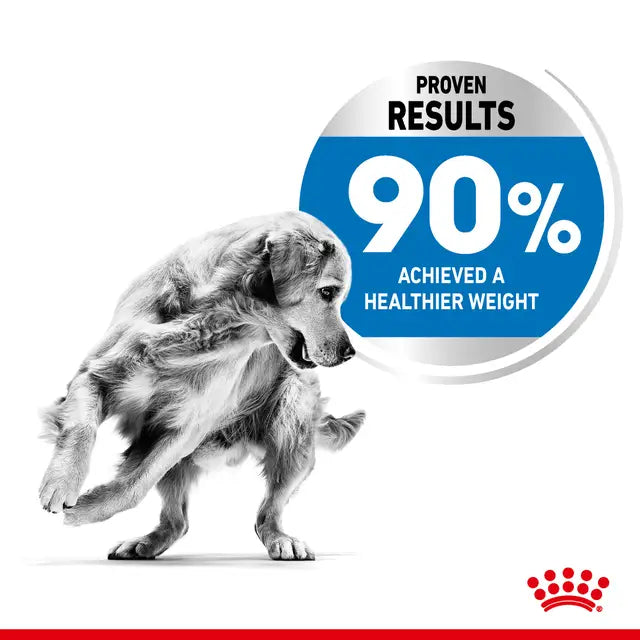 Maxi Light Weight Care sausas pašaras šuniui