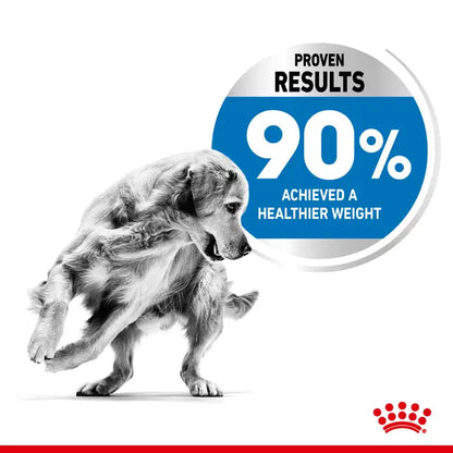 Maxi Light Weight Care sausas pašaras šuniui