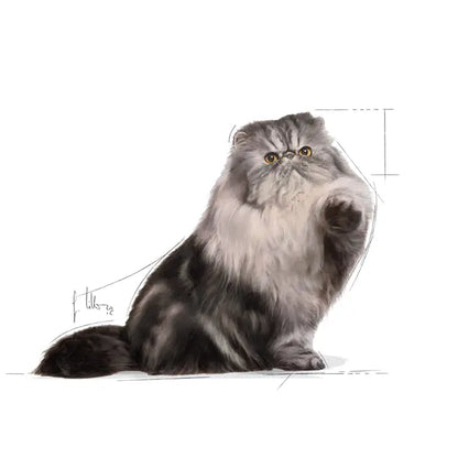 ROYAL CANIN Persian Adult Loaf - Wet Food for Persian Cats 12x85g