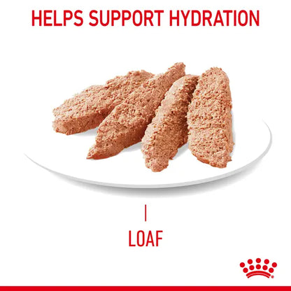 ROYAL CANIN Digestive Care Loaf - Wet Food for Sensitive Cats 12x85g