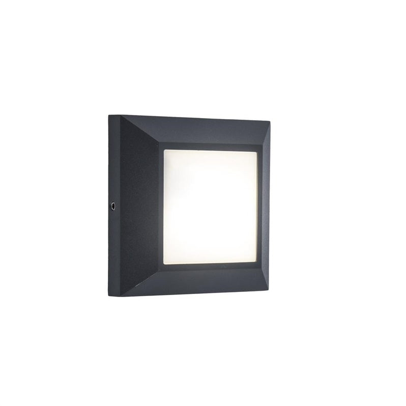 Šviestuvas Lutec HELENA 6402101118, 4W, LED, IP54, antracito