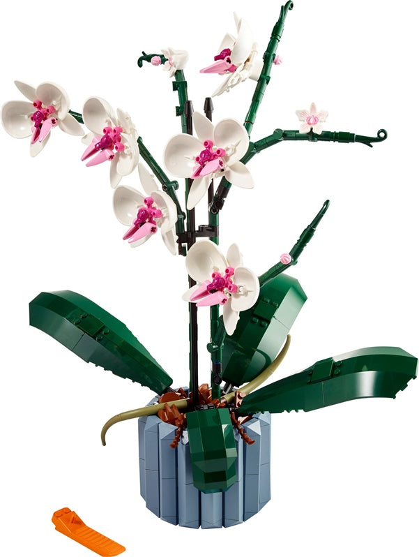 Konstruktorius LEGO Orchidėja 10311, 608 vnt.