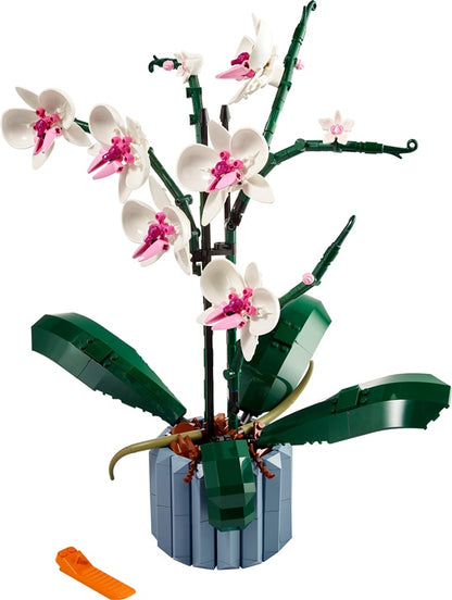 Konstruktorius LEGO Orchidėja 10311, 608 vnt.