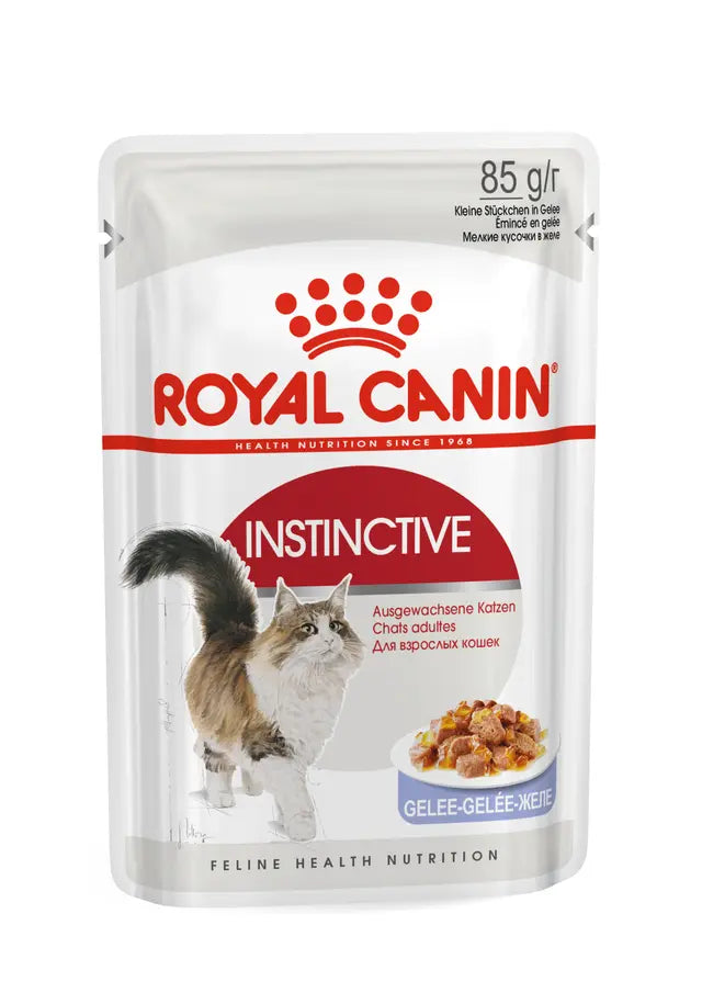 ROYAL CANIN Instinctive Jelly - Karma Mokra dla Dorosłych Kotów 12x85g