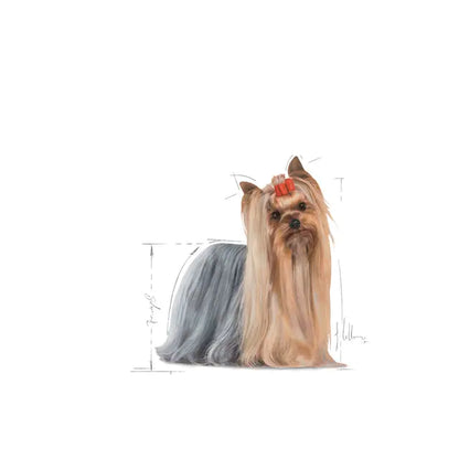 Royal Canin Yorkshire Terrier - Drėgnas pašaras šuniui