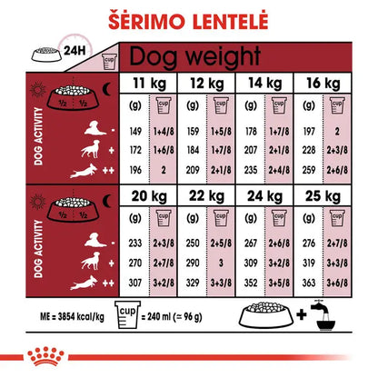 Royal Canin Medium Adult 7+ sausas pašaras - Subrendusiems vidutinių veislių šunims
