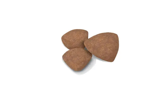 ROYAL CANIN® Mini Puppy - Dry food for small breed puppies (800g / 2kg / 8kg)