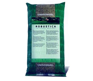 Vejų sėklos DLF Robustika, 1 kg