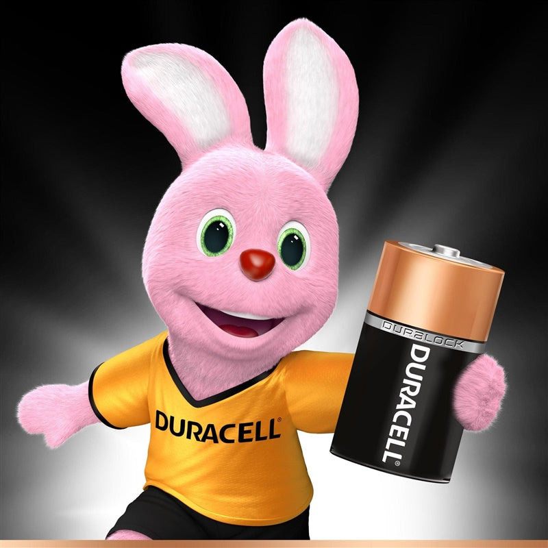 Elementai DURACELL AA/LR06, 1,5V, 8 vnt.