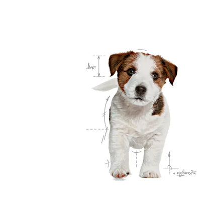 ROYAL CANIN® Mini Puppy - Dry food for small breed puppies (800g / 2kg / 8kg)