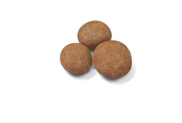 Royal Canin Maxi Puppy dry food - For large breed puppies