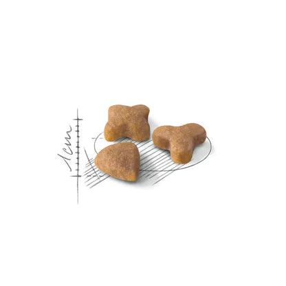 Royal Canin Feline Health Nutrition Sensible 33 4kg - Sausas maistas katėms su jautria virškinimo sistema