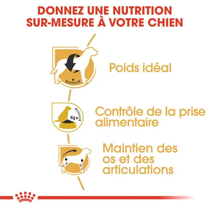 Royal Canin Beagle Adult - dry dog ​​food