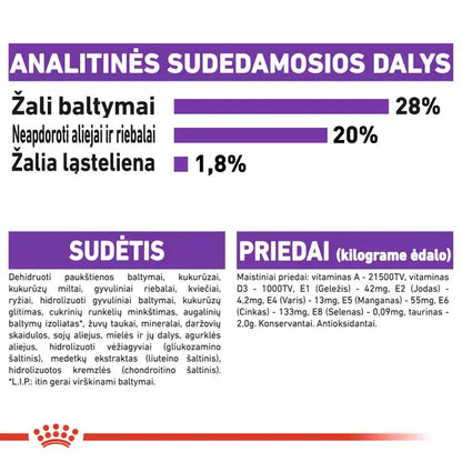 Giant Adult sausas pašaras šuniui