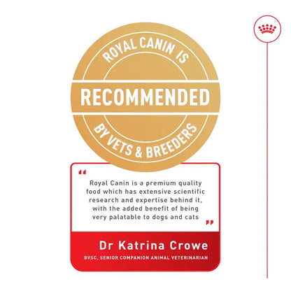 ROYAL CANIN Digestive Care Loaf - Wet Food for Sensitive Cats 12x85g