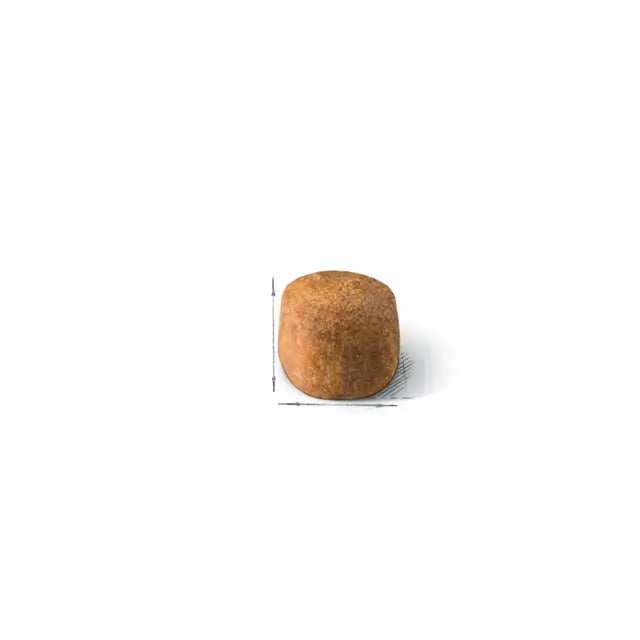 Maine Coon Adult dry cat food