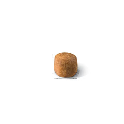 Maine Coon Adult dry cat food