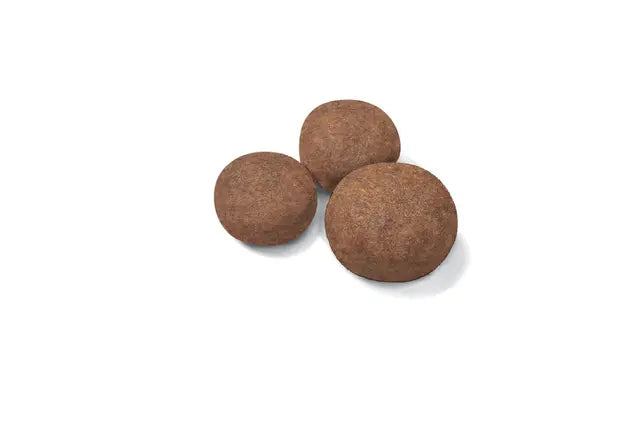 Royal Canin Puppy Medium dry food - For medium breed puppies