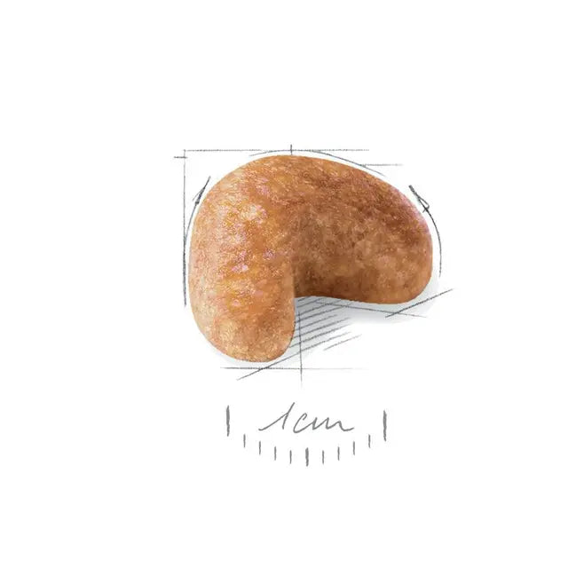 Cocker Adult dry dog ​​food