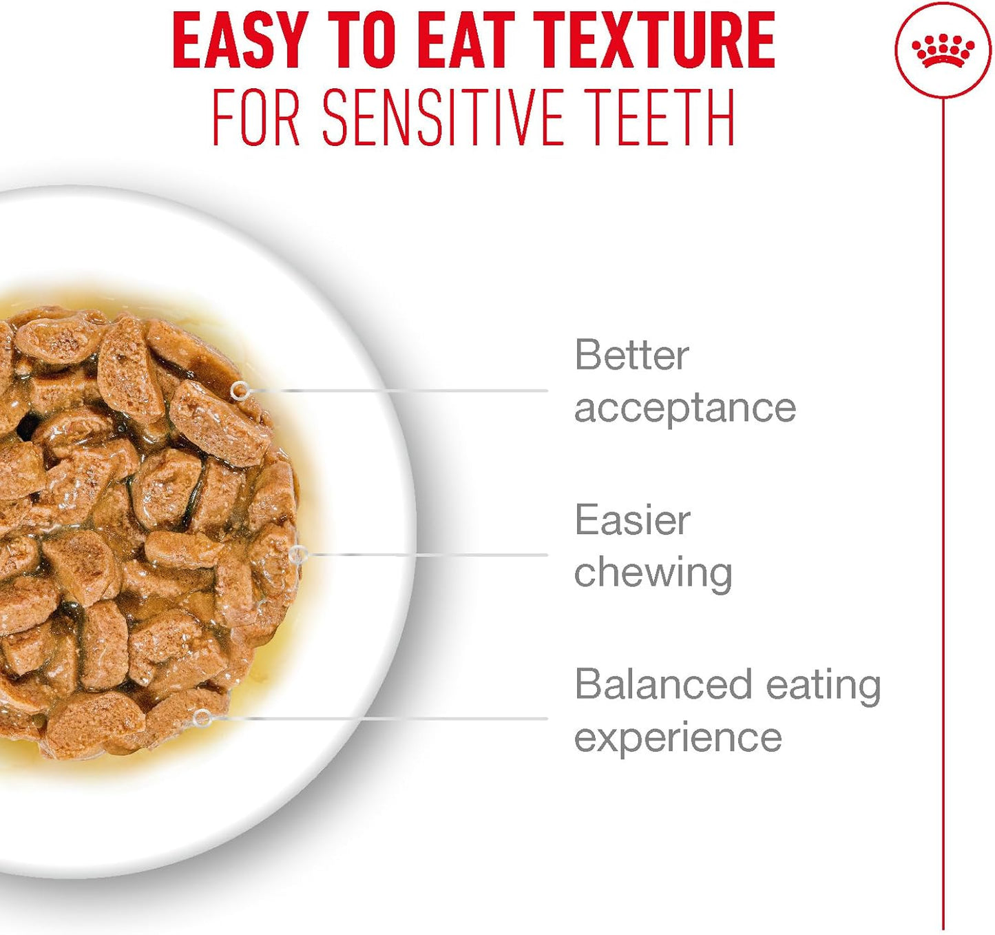 ROYAL CANIN Ageing 15+ Chunks In Gravy - Wet Food For Senior Cats 12x85g