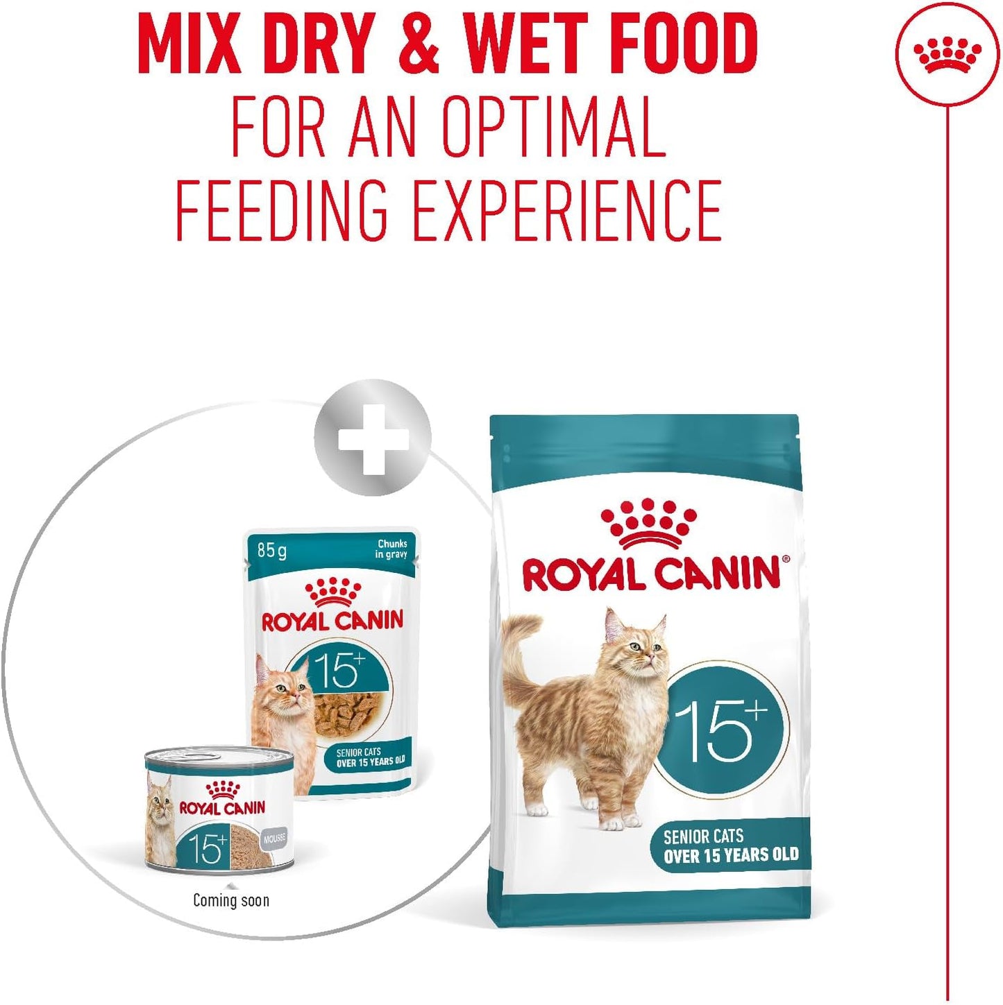 ROYAL CANIN Ageing 15+ Chunks In Gravy - Wet Food For Senior Cats 12x85g
