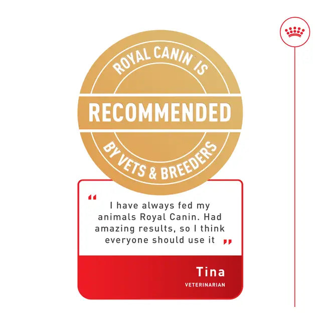 ROYAL CANIN Maxi Ageing 8+ Gravy - Wet Food for Large Senior Dogs