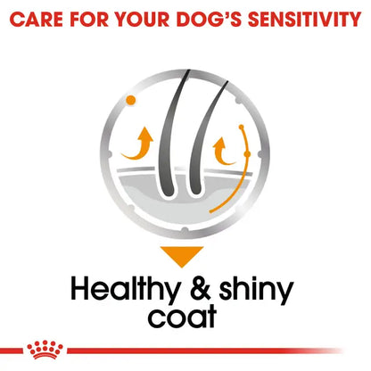 Royal Canin Coat Care Pasztet