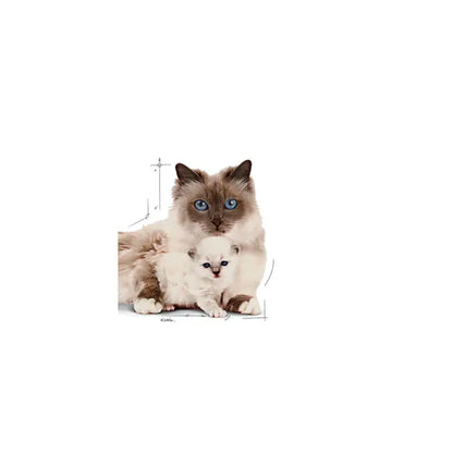 Влажный муссовый корм для кошек MOTHER &amp; BABYCAT ультрамягкого цвета