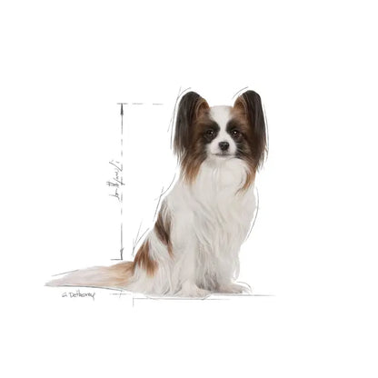 Royal Canin X-Small Adult 8+ - Sausas pašaras šuniui