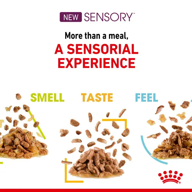 ROYAL CANIN SENSORY™ FEEL Morsels in Gravy - Drėgnas Pašaras Suaugusioms Katėms 12x85g