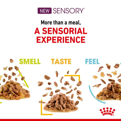 ROYAL CANIN SENSORY™ FEEL Morsels in Gravy - Drėgnas Pašaras Suaugusioms Katėms 12x85g