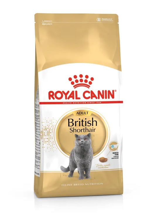 Royal Canin Katzenfutter für Britisch Kurzhaar, ausgewachsen, 10 kg – Professionelles Paket für ausgewachsene Britisch Kurzhaar Katzen ab 12 Monaten