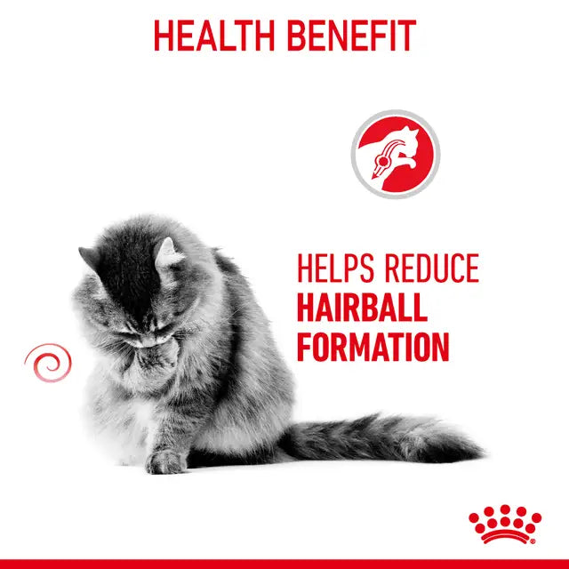 ROYAL CANIN Hairball Care Thin Slices In Jelly - Mokra Karma dla Kotów 12x85g