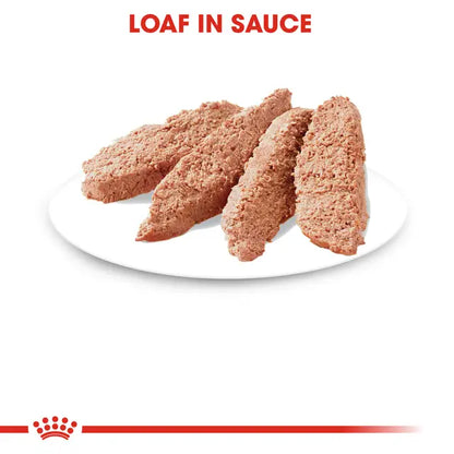 ROYAL CANIN Instinctive Loaf - Wet Food for Adult Cats 12x85g