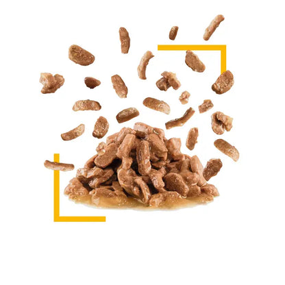 ROYAL CANIN Sensory Taste Chunks In Gravy - Drėgnas Pašaras Suaugusioms Katėms 12x85g