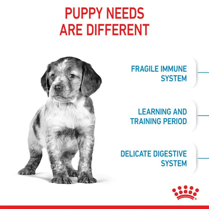 Royal Canin Puppy Medium dry food - For medium breed puppies