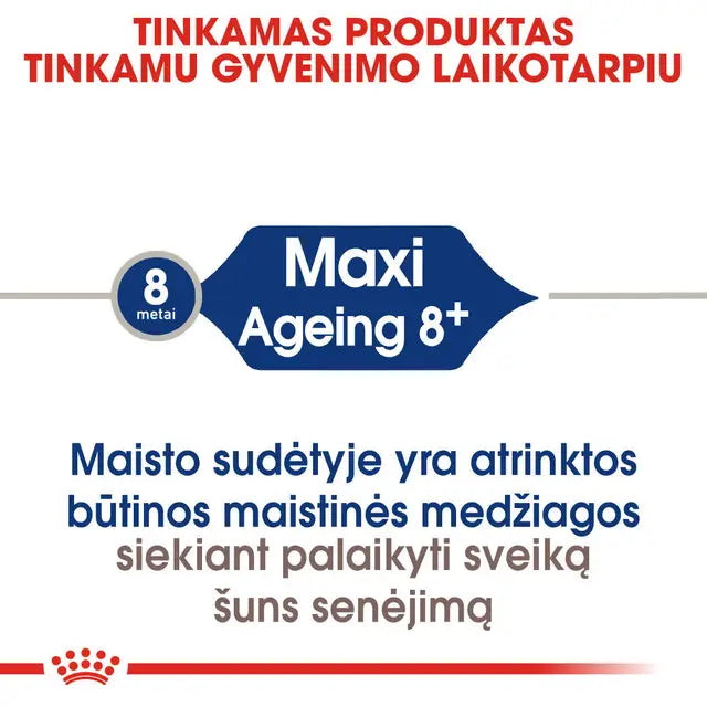 Royal Canin Maxi Ageing 8+ dry food - For very senior large breed dogs