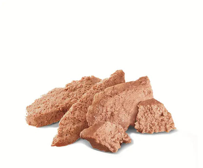 ROYAL CANIN Persian Adult Loaf - Wet Food for Persian Cats 12x85g