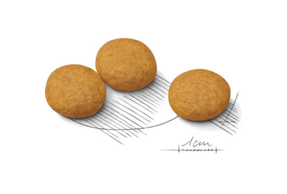 Medium Dermacomfort dry dog ​​food