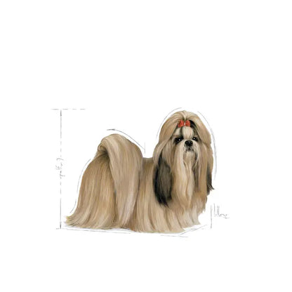 ROYAL CANIN BHN Shih Tzu Loaf - Drėgnas Pašaras Šunims 12x85g