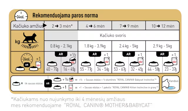 Sucha karma dla kociąt Brytyjski krótkowłosy