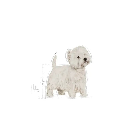 Royal Canin West Highland White Terrier Adult - Dry dog ​​food