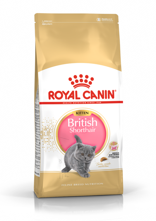 Royal Canin Feline Breed Nutrition British Shorthair Kitten 10kg - Professional packaging for British Shorthair kittens up to 12 months