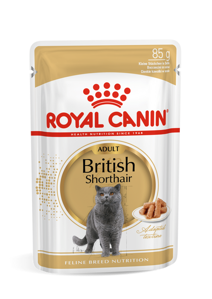 ROYAL CANIN British Shorthair Adult Narrow Chunks In Gravy – Karma Mokra dla Kota 12x85g