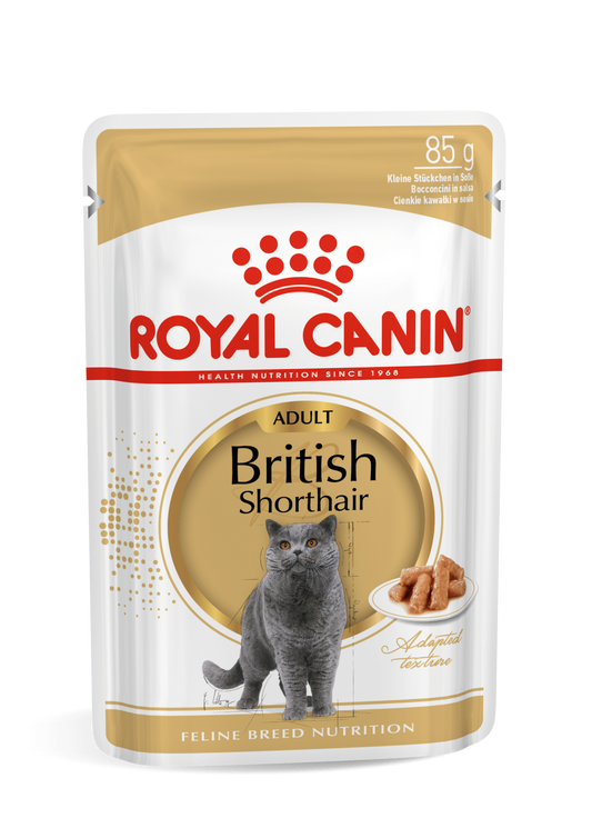 Royal Canin Feline Breed Nutrition British Shorthair Adult Gravy 12x85g - Wet food in gravy for adult British Shorthair cats