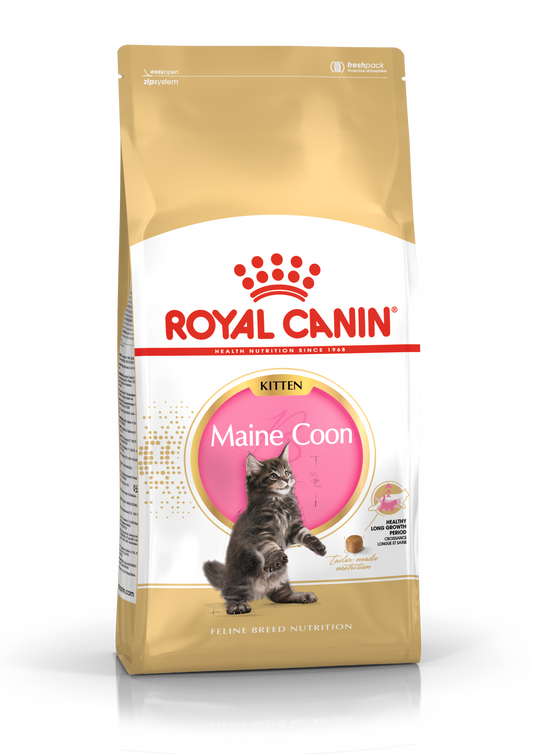 Royal Canin Feline Breed Nutrition Maine Coon Kitten 10kg - Professional packaging for Maine Coon kittens up to 15 months