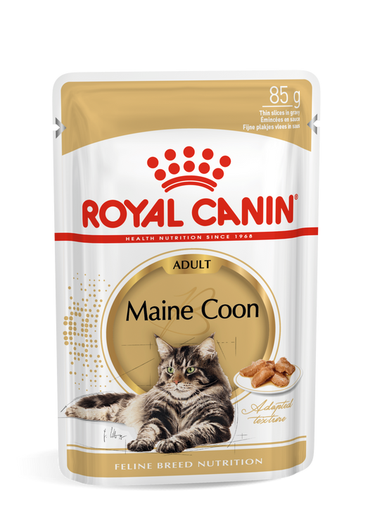 Royal Canin Feline Breed Nutrition Maine Coon Adult Gravy 12x85g - Wet food in gravy for adult Maine Coon cats