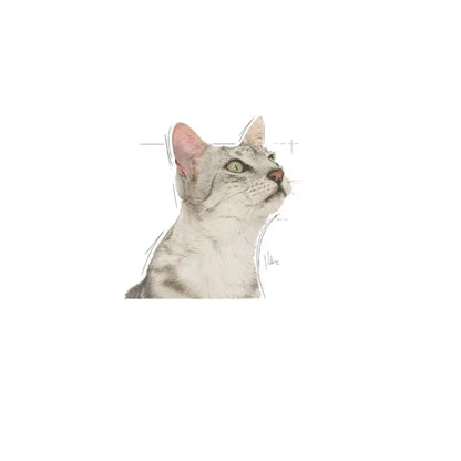 Влажный корм SENSORY™ SMELL Chunks in Gravy для взрослых кошек, 12 x 85 г.